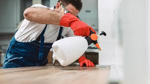 Real Estate Pest Inspections in Allardt, TN